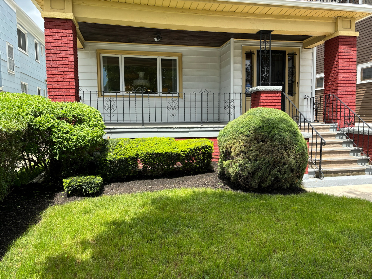 Beautiful 2bed-1bath-office & garage in historic neighborhood - Photo 1