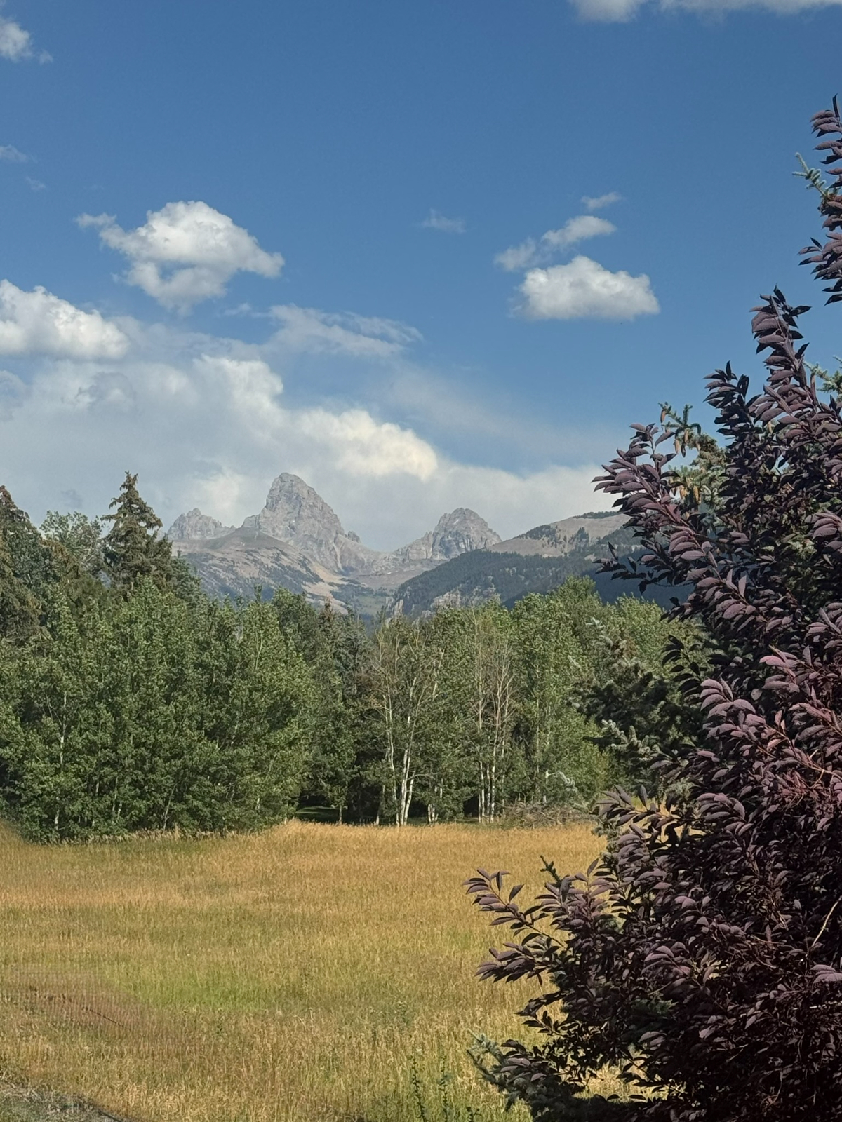 Raven's Heaven - Mountain-View Studio in Alta with Private Deck, Kitchenette & Laundry - Photo 3