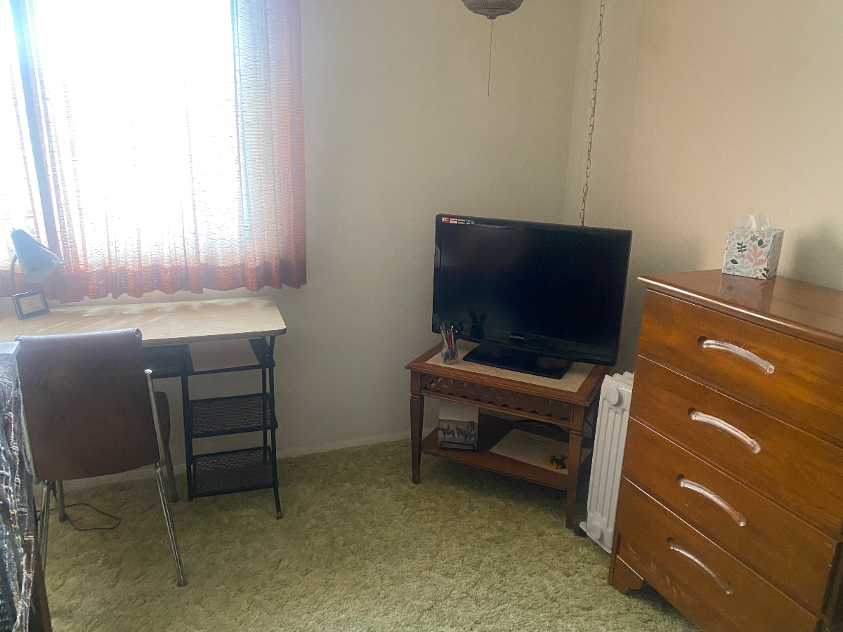 Basement Oasis - Photo 6