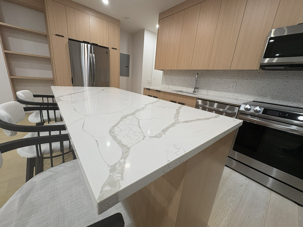 SEPT 1! NEW APT BUILT IN DUMBO TWO BED/TWO BATH with WASHERY/DRYER BROOKLYN LUXURY - Photo 1