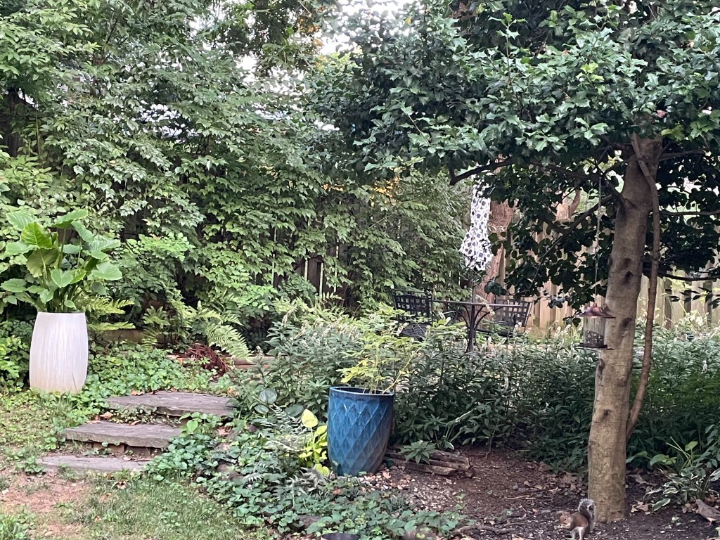 Charming 1 BR/1BA with Den/Office - Photo 12