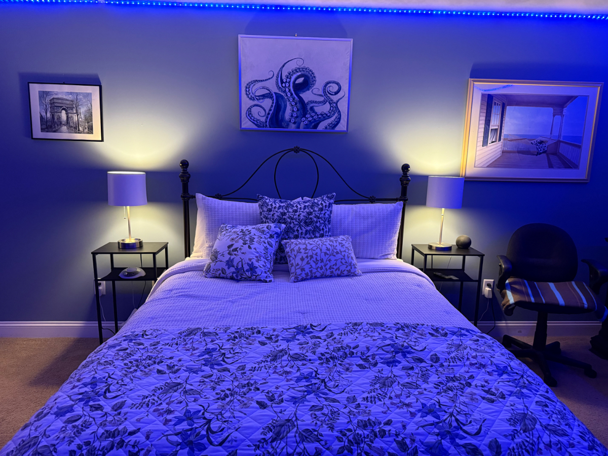 Excellent Rental with over 1000sq feet of living space and privacy - Photo 12