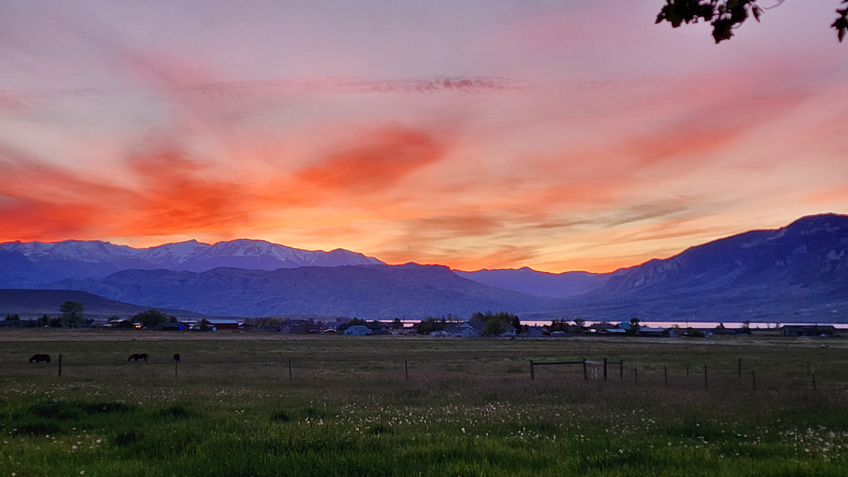 Country Living, in Cody - Photo 1