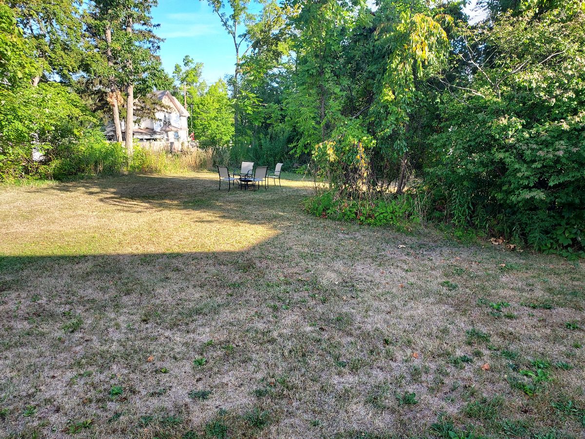 Cozy 1BR/1BA Apartment -- Great Location Near Keuka Lake, Hospitals, Shopping & More - Photo 6