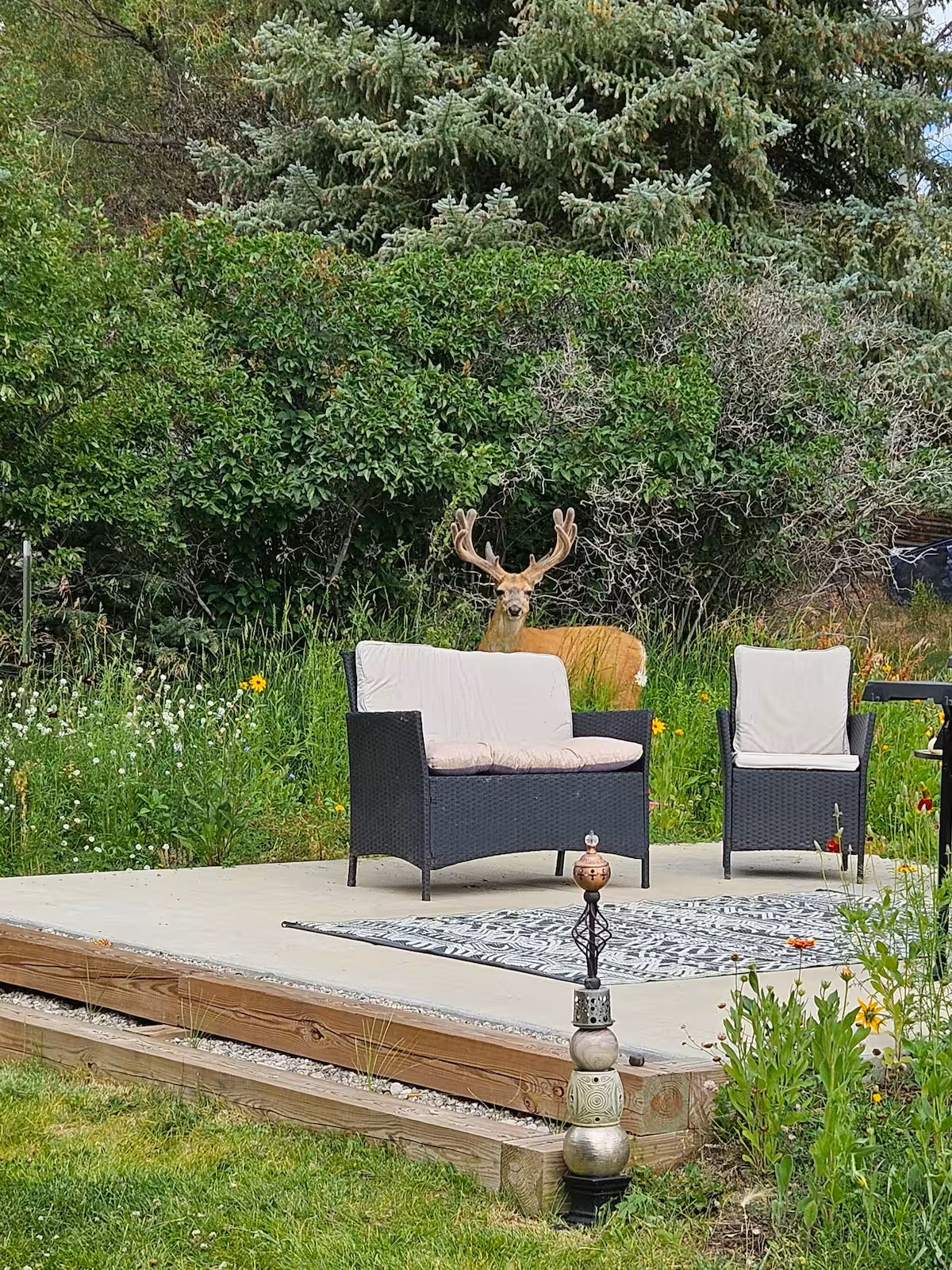 Lake Road Retreat - Photo 10