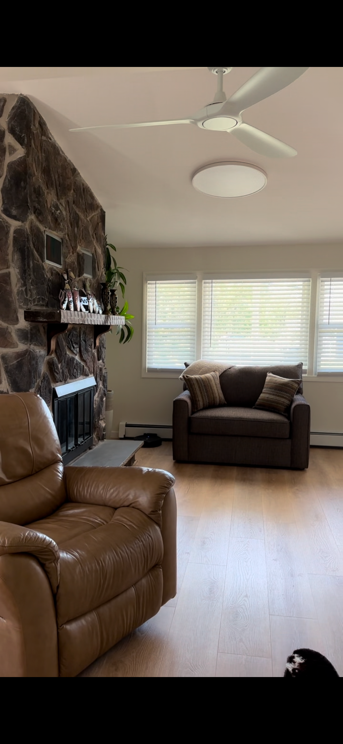 Bright, Updated Home With Smart TV, Outdoor Living, Peaceful Vibe, & Pet Friendly - Photo 5