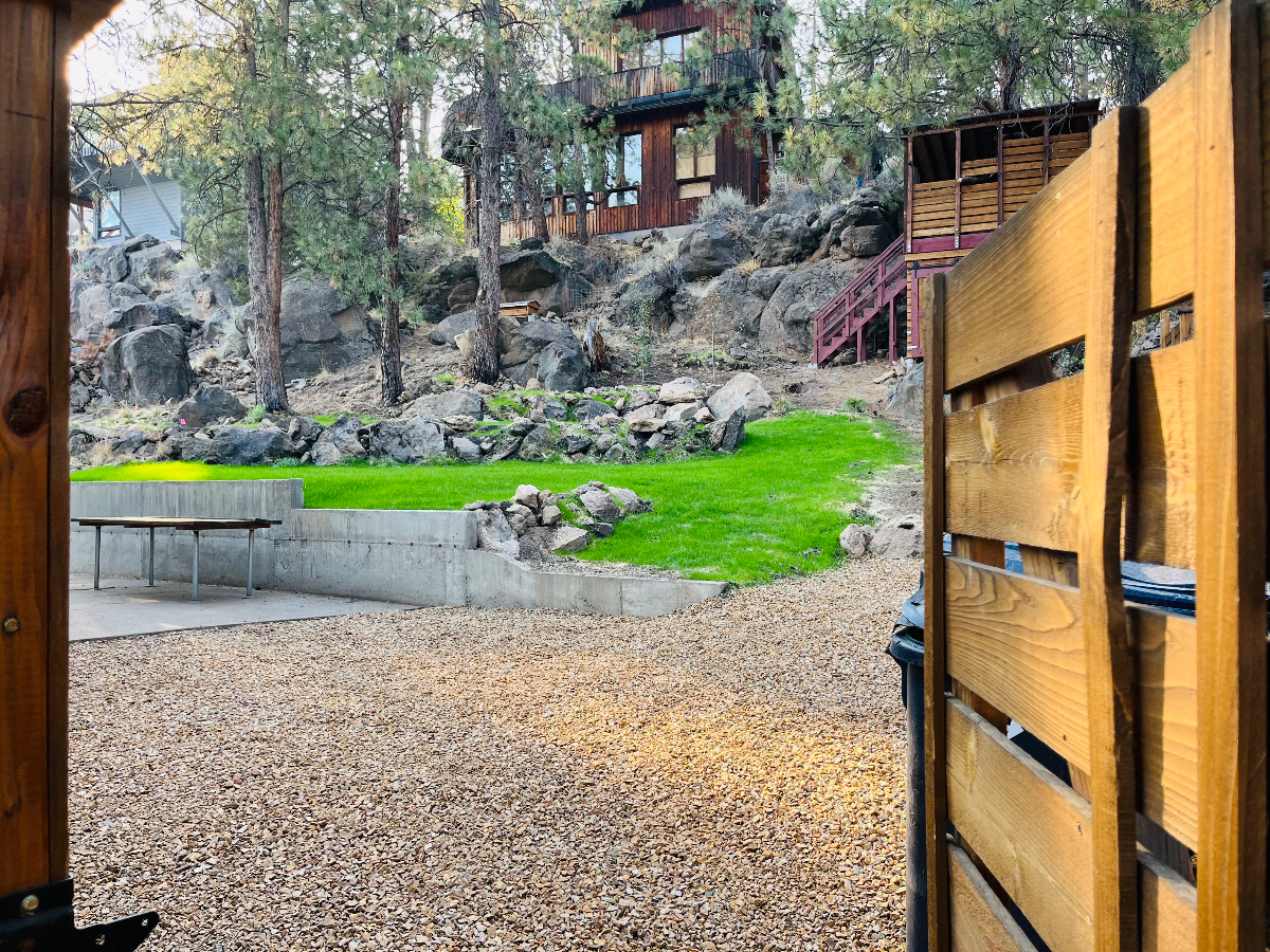 Mid-Century Tree House - Photo 4