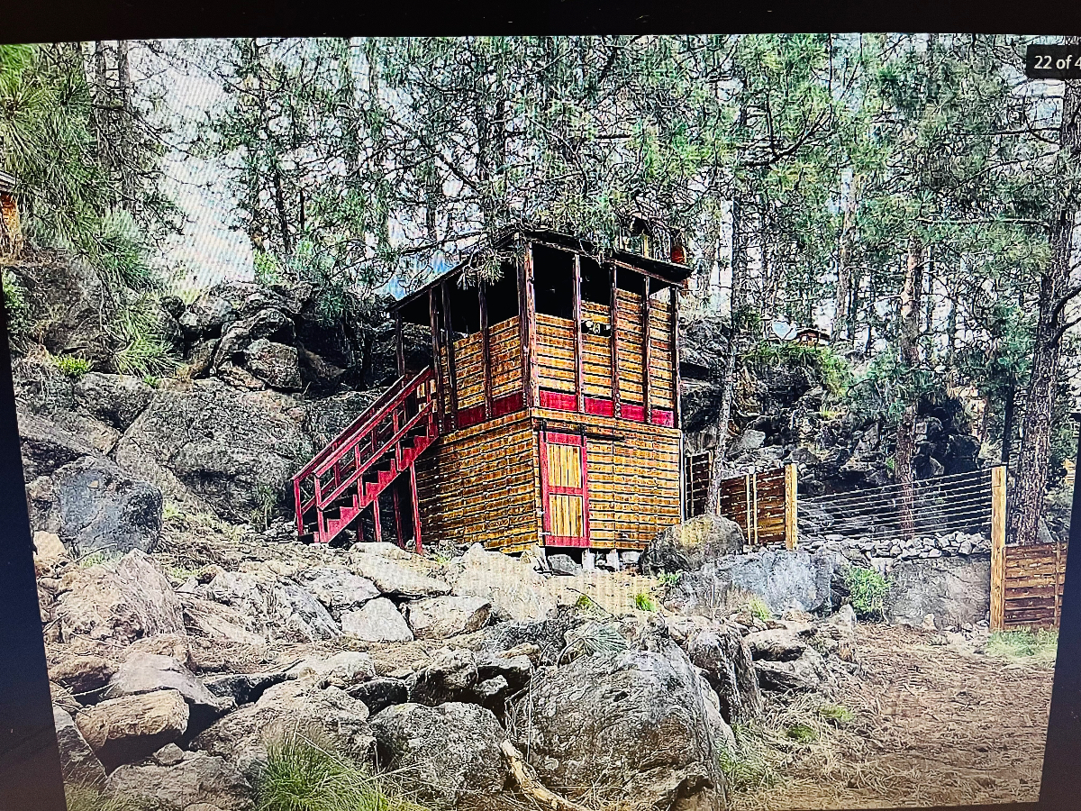 Mid-Century Tree House - Photo 5