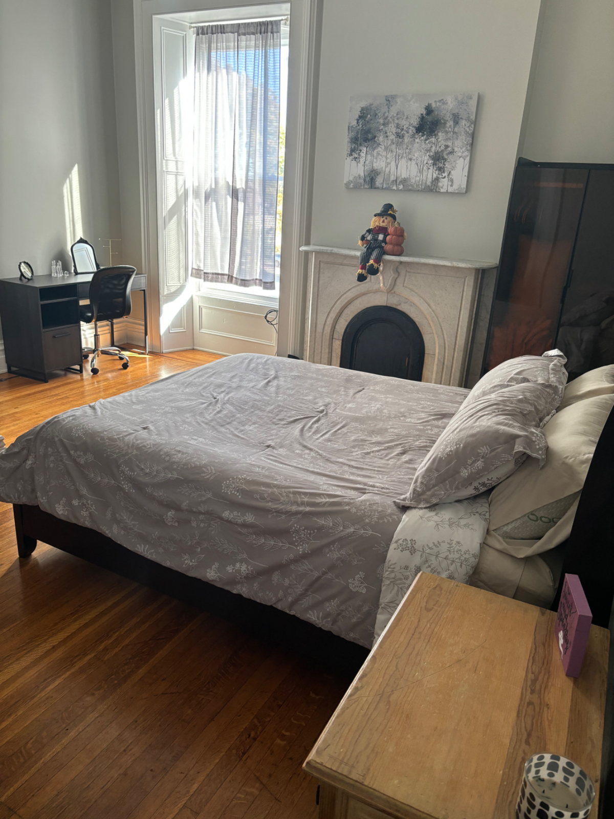 Spacious and Unique Mansion One Bedroom Apartment - Centrally Located - Photo 6