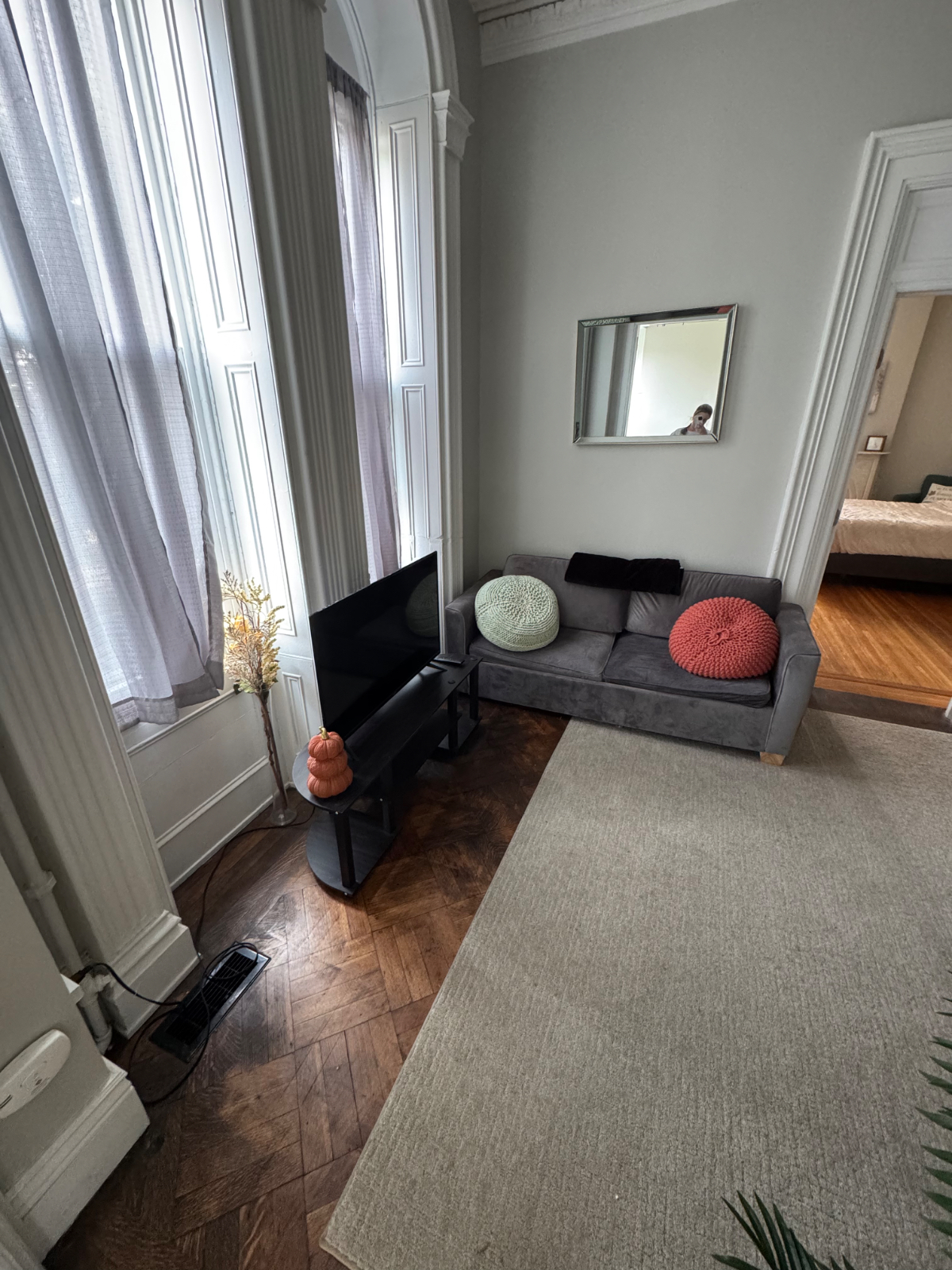 Spacious and Unique Mansion One Bedroom Apartment - Centrally Located - Photo 4