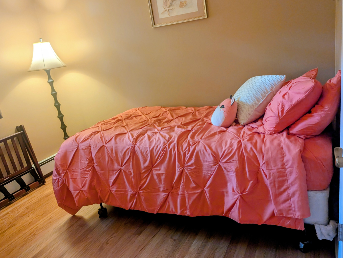 One level SFH in prime Williston location - Photo 5