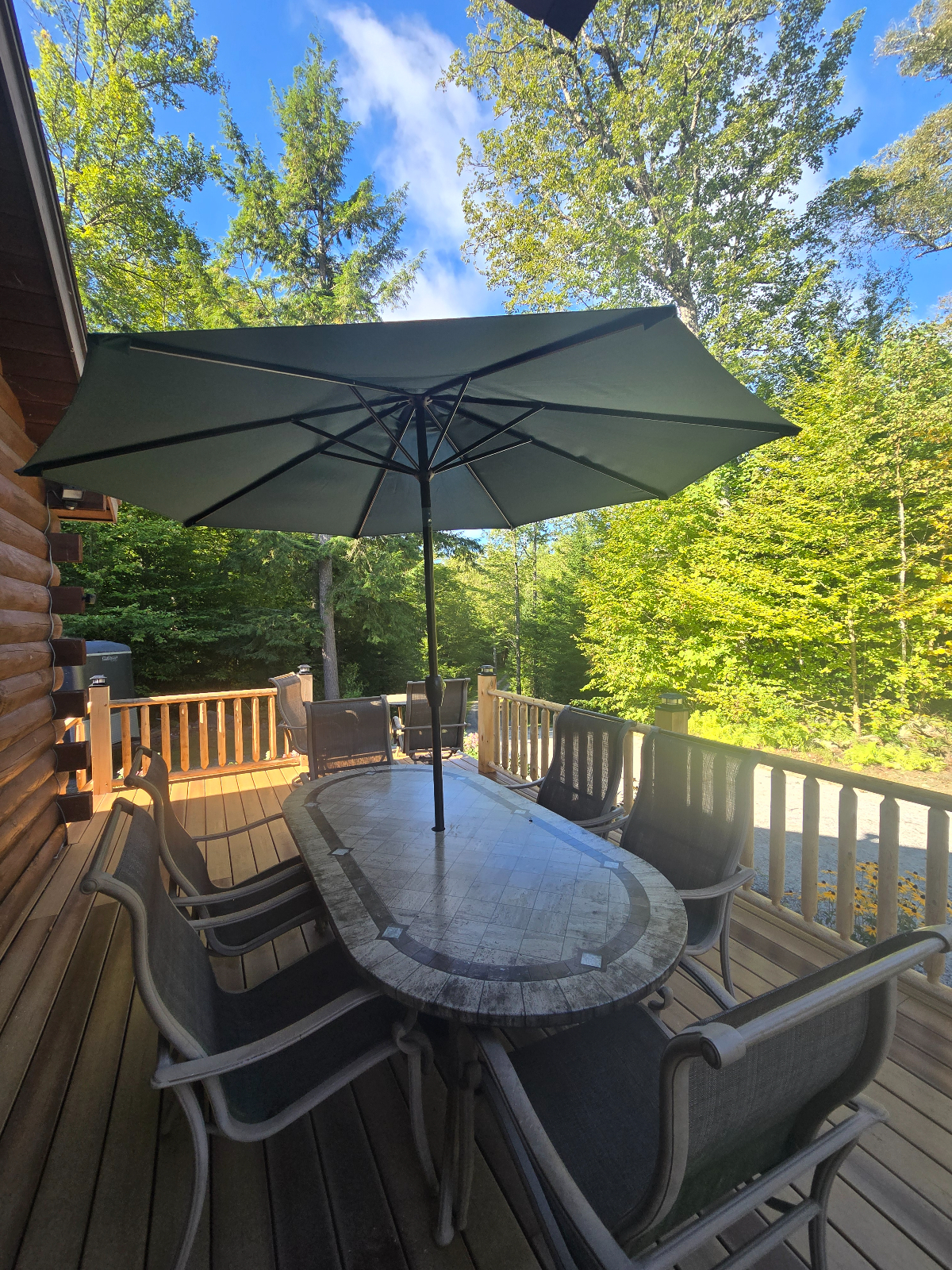 Cozy Log Cabin on 17 acres in Peacham - Photo 11