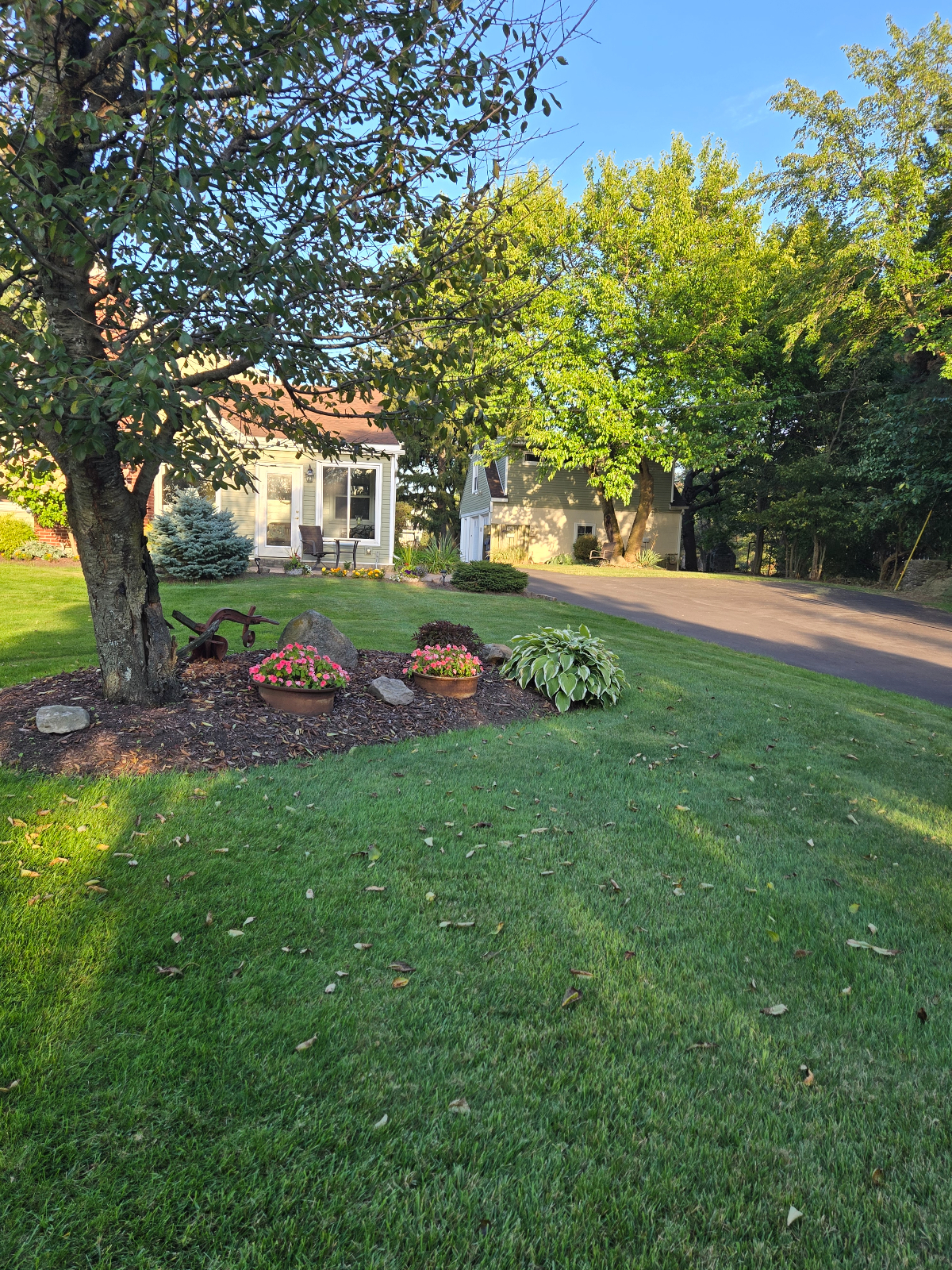 Lovely 1 bedroom apartment in quiet suburb of Buffalo, NY - Photo 11
