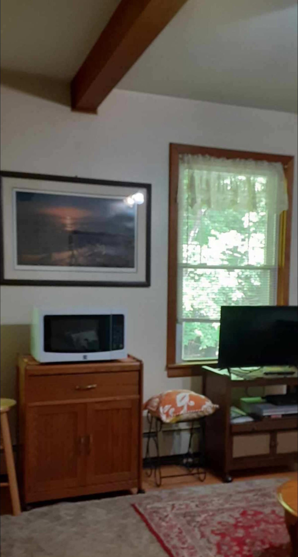 Snowshoe Lodge Private Apartment - Photo 7