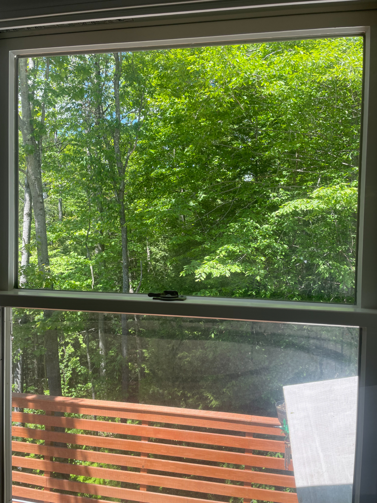 Modern & Cozy 1-Bed, 1 Bath, 2nd-Floor Apartment in Brattleboro's Prime Location Awaits You - Photo 12
