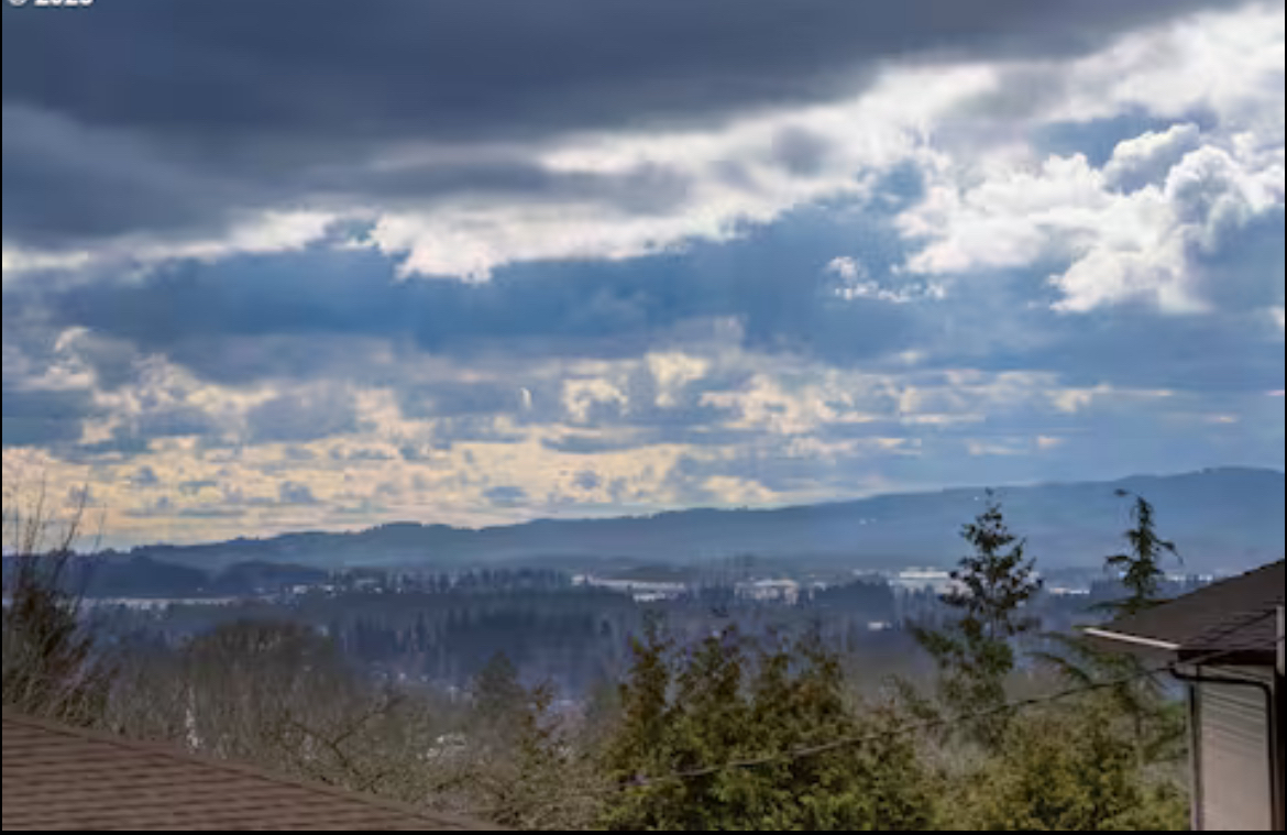 Mountain Park near OHSU and DT Lake Oswego - Photo 4