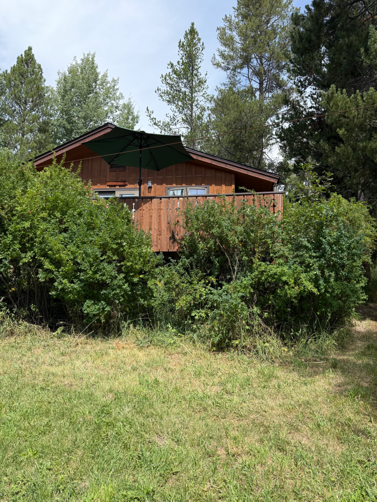 Wilson Cabin with Alpine Charm and View off the deck - Photo 10