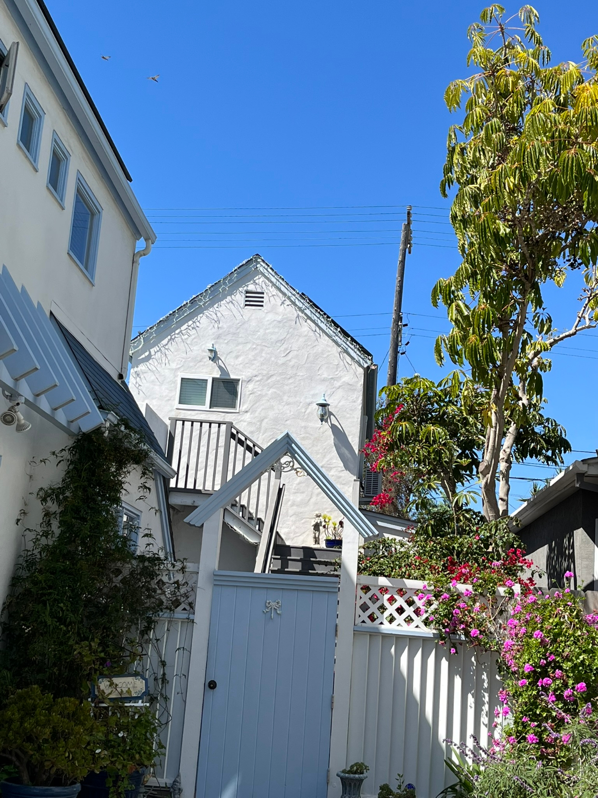 Pacific Beach studio - Photo 2