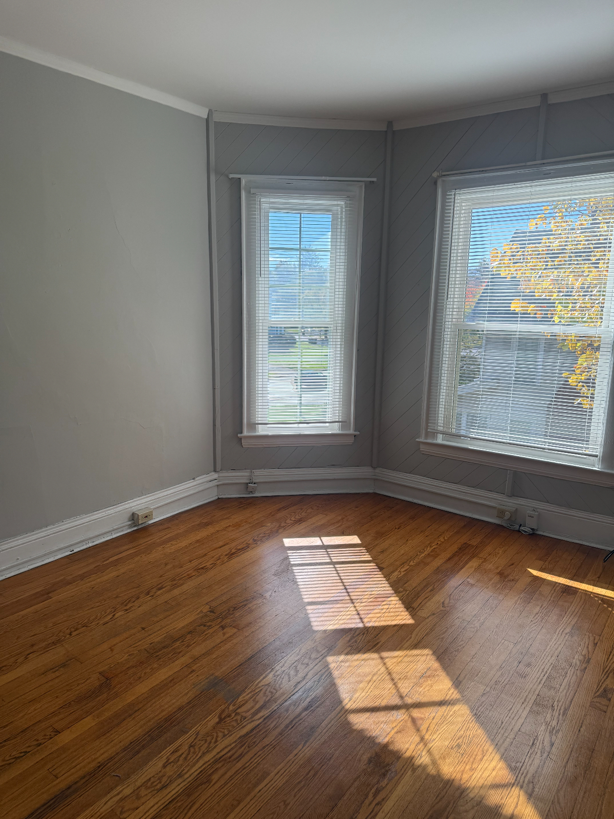 Gorgeous apartments for rent in Syracuse - Photo 3