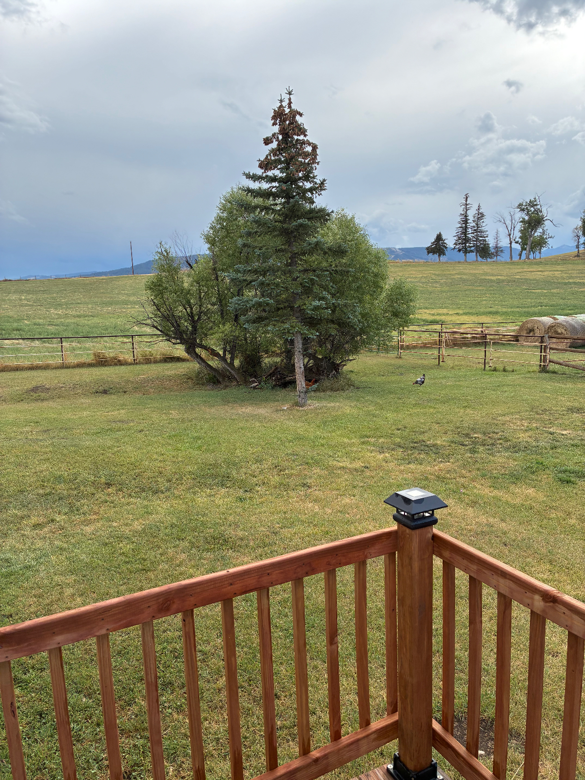 Really nice home for rent! - Photo 4