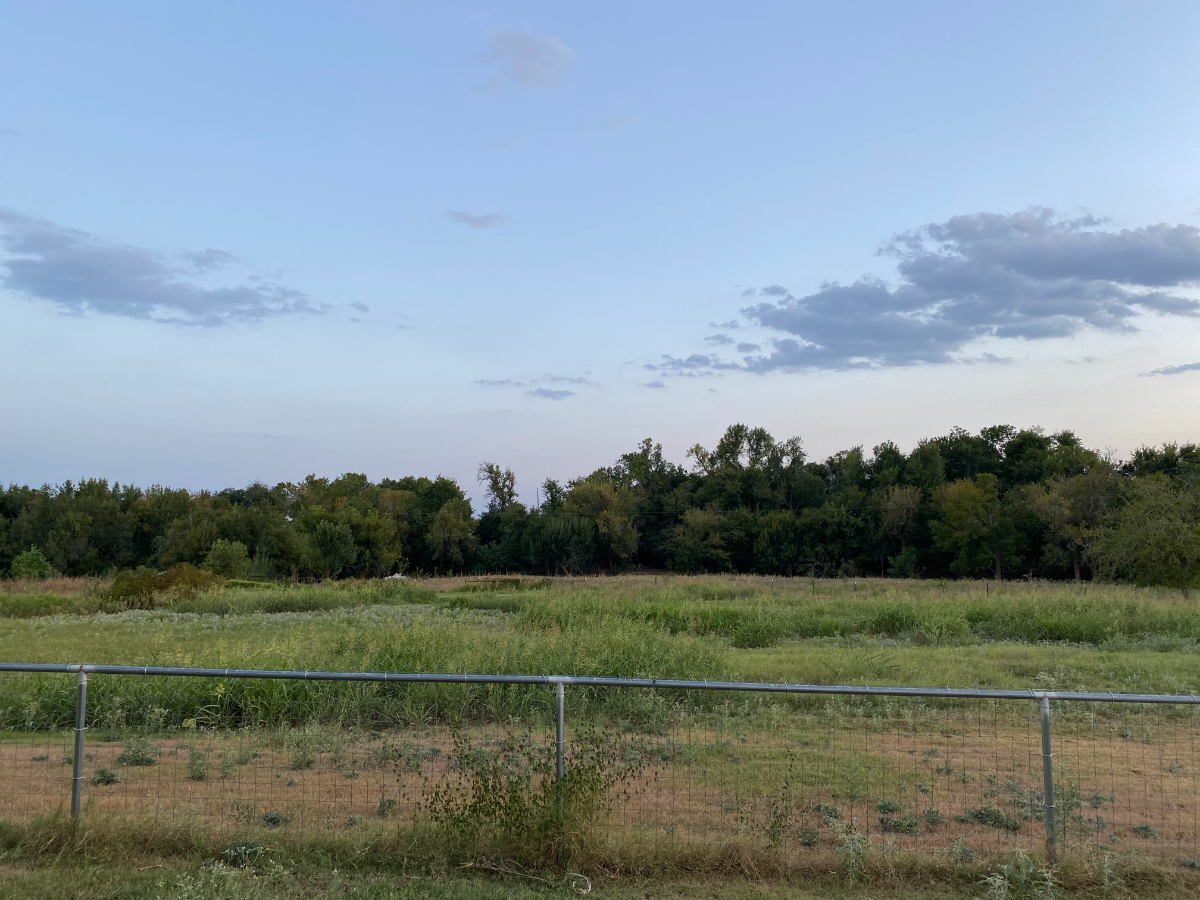 Brand-New Industrial-Style Home on Acreage Near Samsung - Photo 5