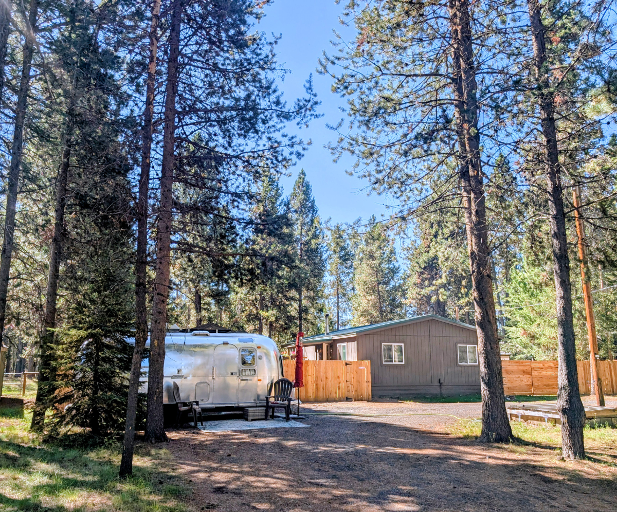 1/2 acre Ponderosa Paradise - Photo 1