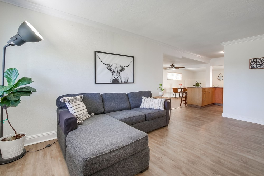 Sunshine & Relaxation Await - 2 BR Gem in Charming Bay Park - Photo 4