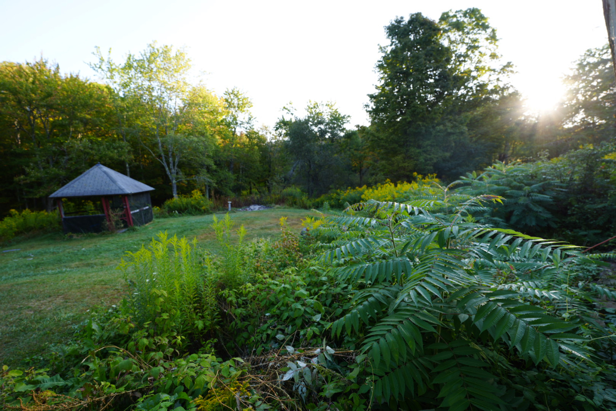No. 3 at Grafton Inn - Photo 7