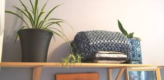 Bushwick Bedstuy Duplex - Photo 8