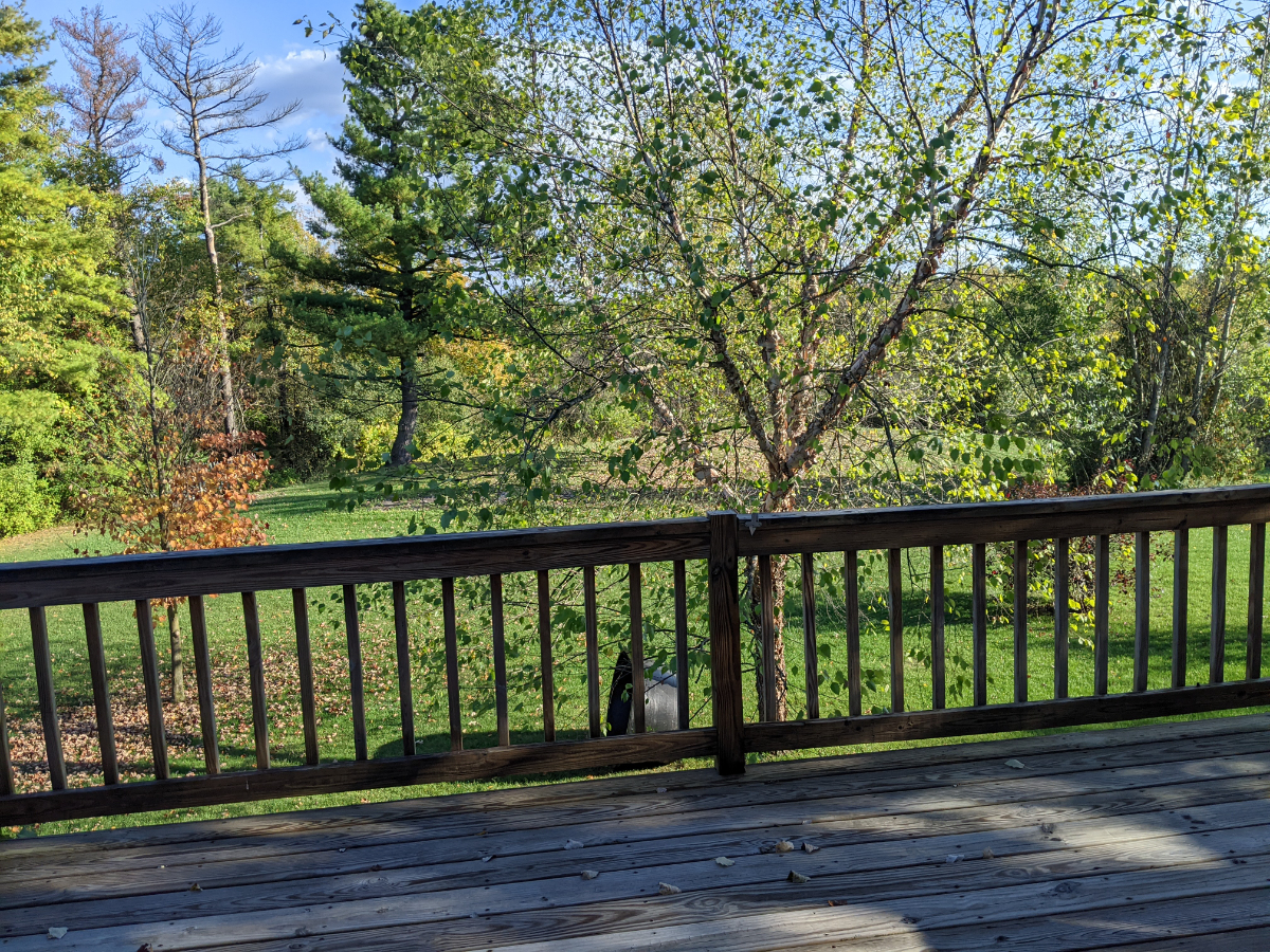 Large 1-Bedroom 'Treetop' Countryside Apartment - Photo 12