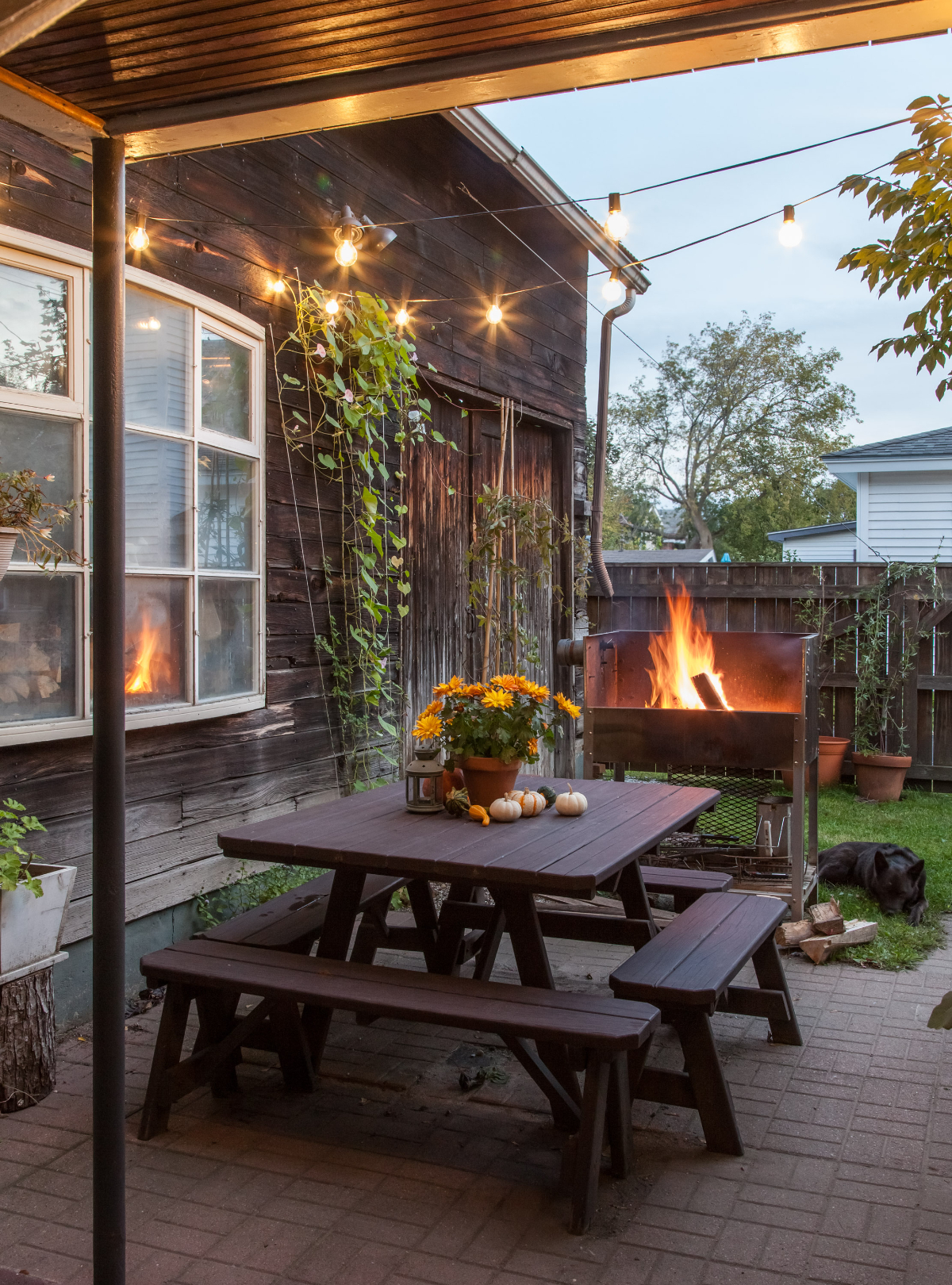 Cozy Bright Apartment in Quiet Neighborhood - Photo 3