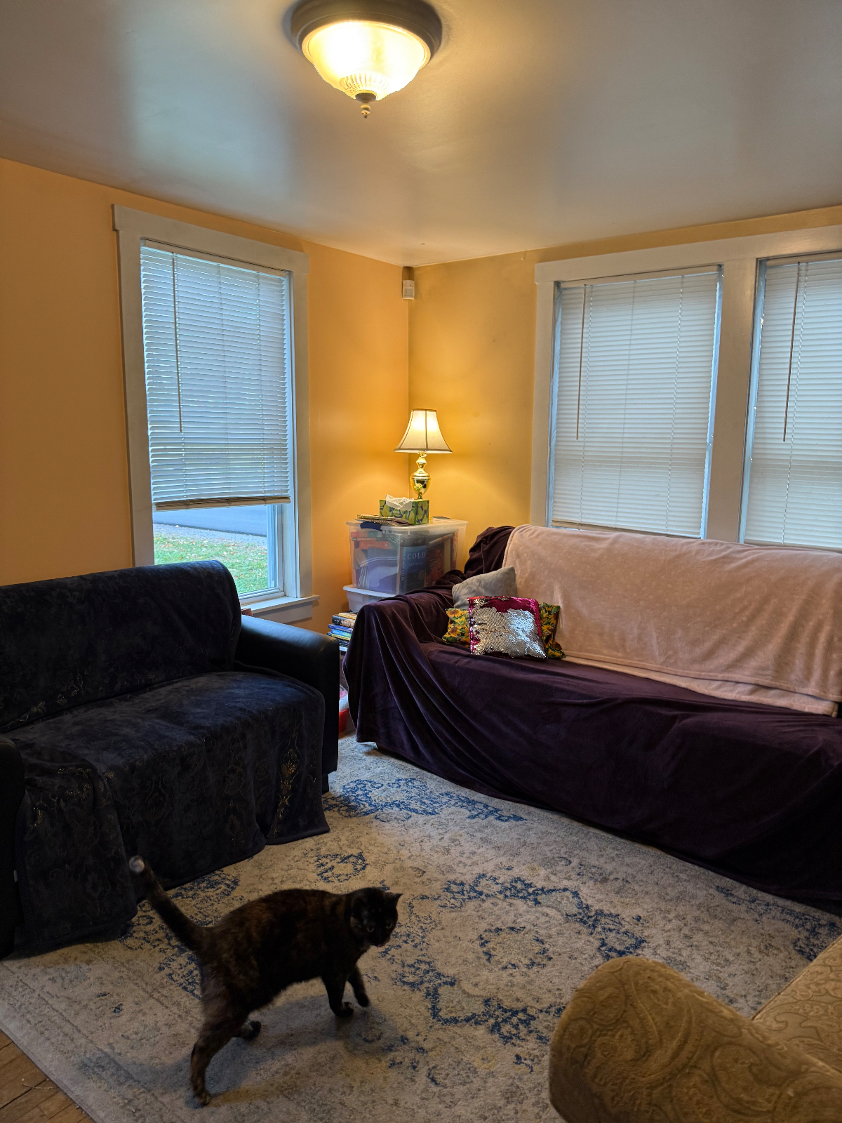 Cozy Private Suite Central To Everything - Photo 5
