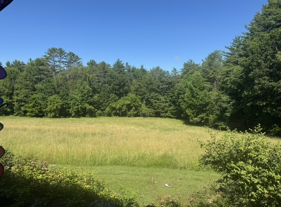 Charming one Story Country Home and 25 Acres of Meadow and Forest - Photo 8