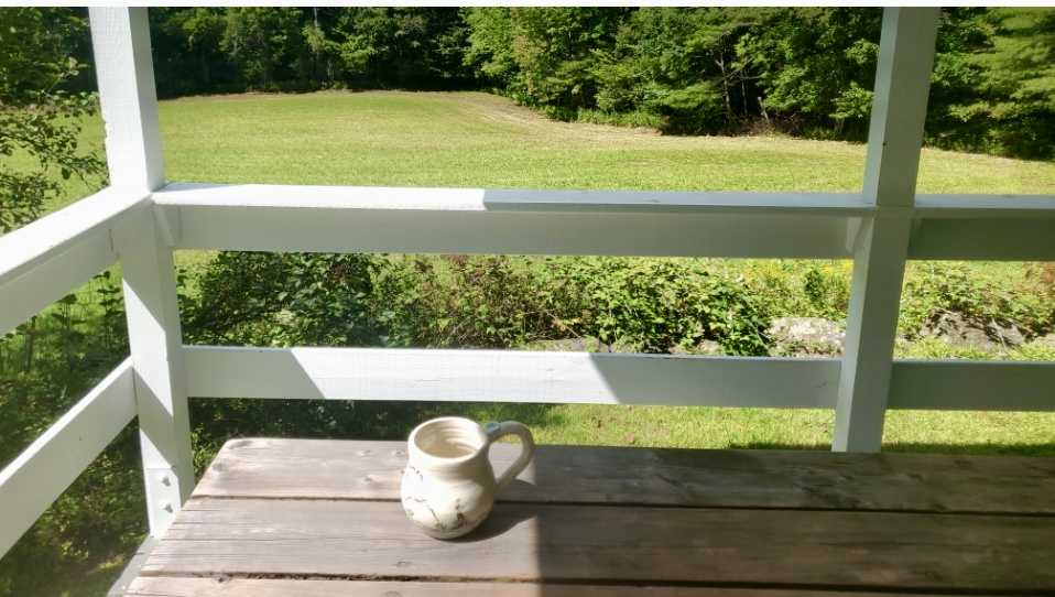 Charming one Story Country Home and 25 Acres of Meadow and Forest - Photo 7