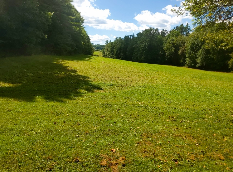 Charming one Story Country Home and 25 Acres of Meadow and Forest - Photo 10