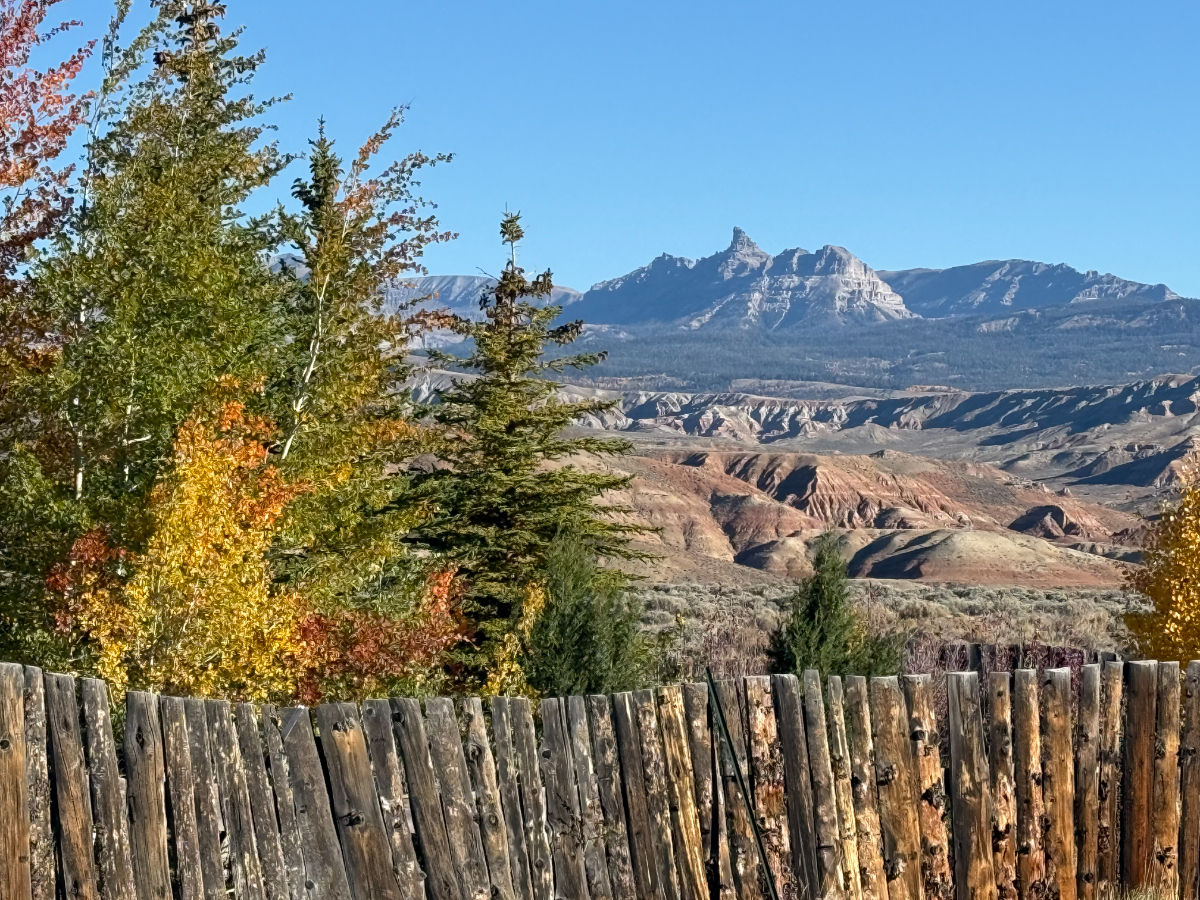 Bright, Comfortable 2BR Plus Loft Cabin with High-Speed Wi-Fi, Beautiful Views, and 22 Acres with Di - Photo 7