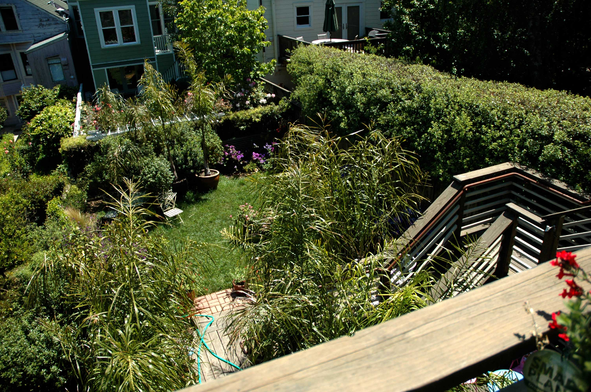 Castro-Noe Modern Elegance 2 - Photo 5
