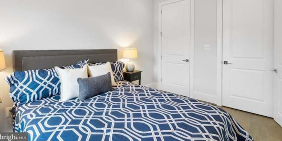 DC room - Columbia Heights - Photo 2