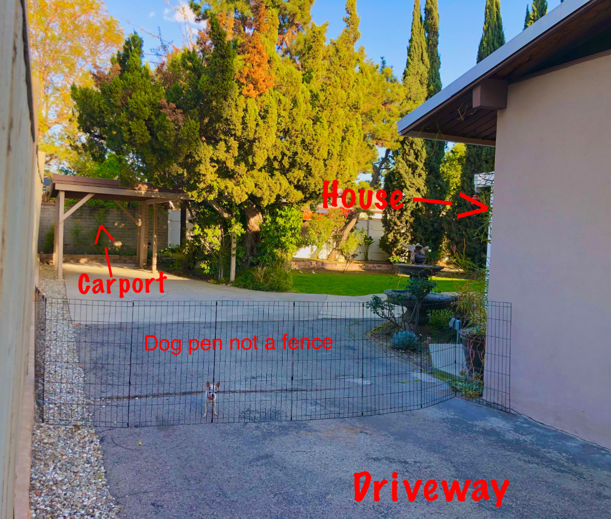 Beautiful Cottage in 91606 - Photo 5
