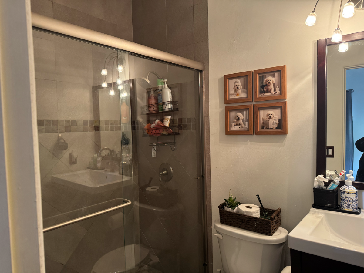 New Unit - Photo 4