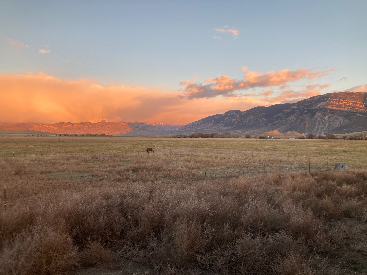 Sunsets, Horses, & Lake Trails on Private Drive - Photo 9