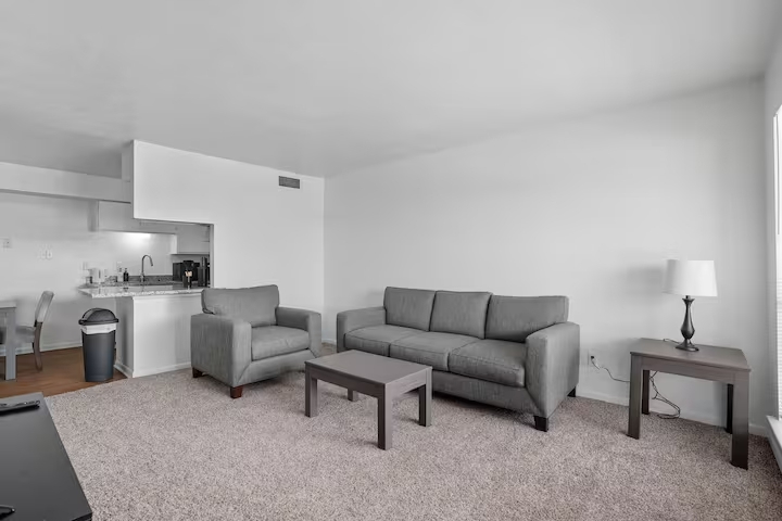Furnished Apt in College Station -Near Major Hospitals & Texas A&M University - Photo 3