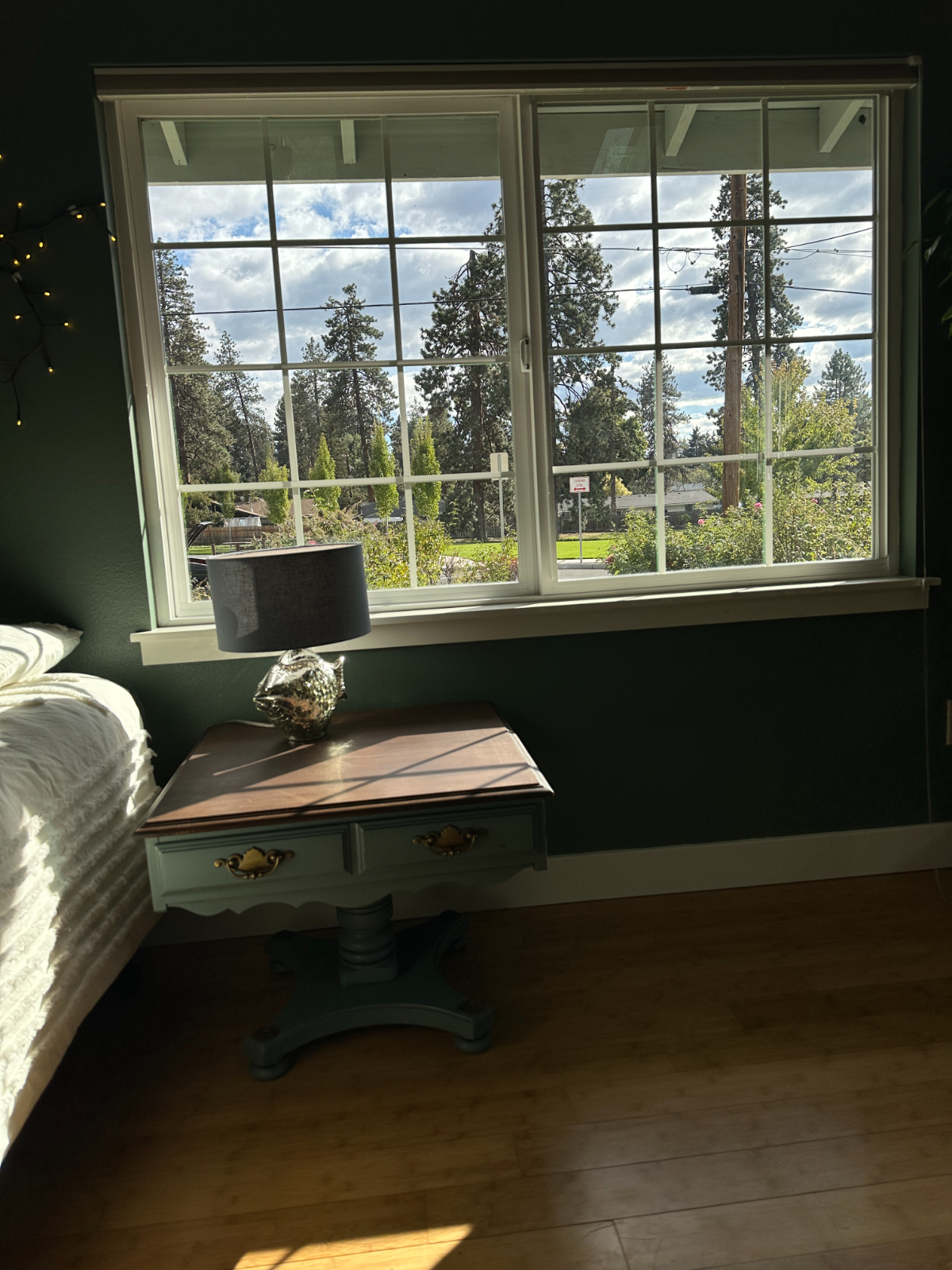 Huge, bright Private Room with beautiful Park Views. - Photo 5