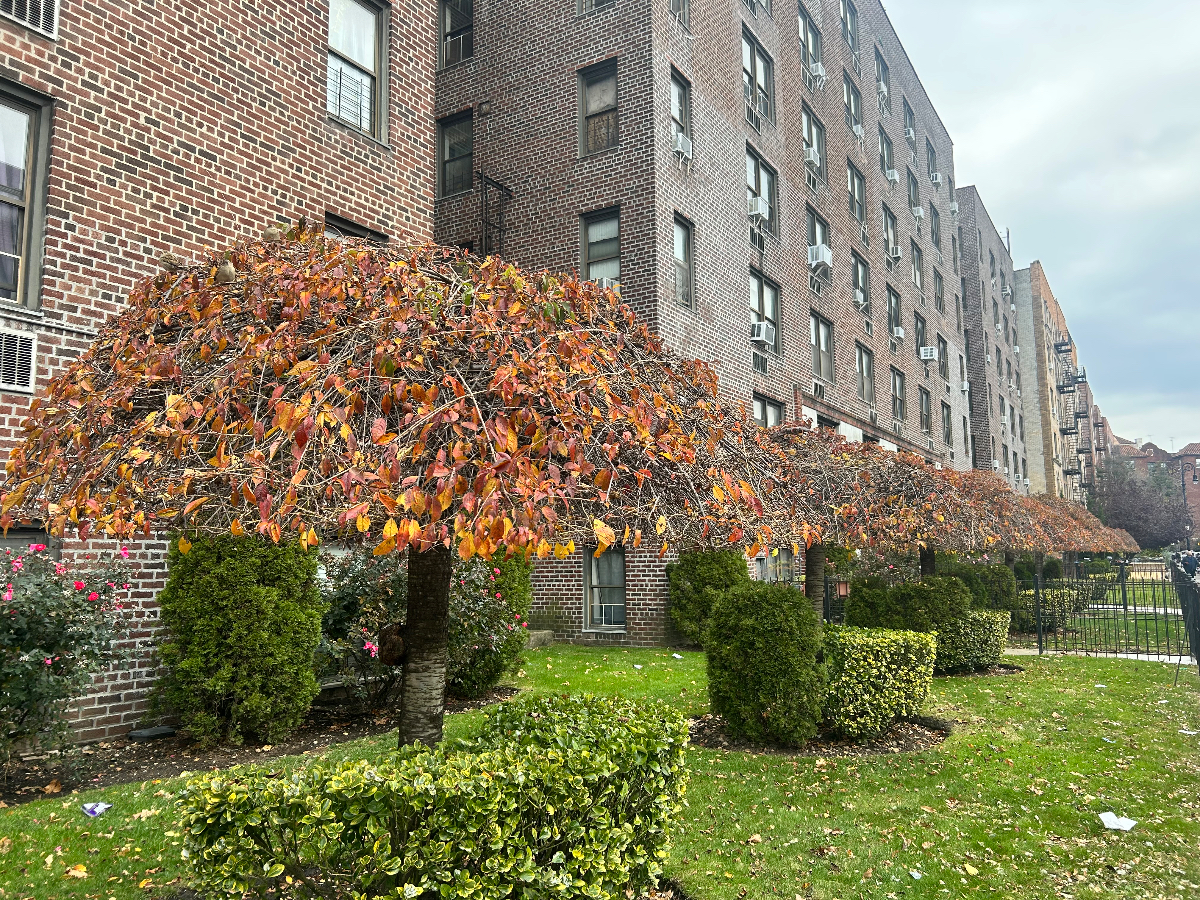Great Location & Beautiful Layout in Brooklyn - Photo 11