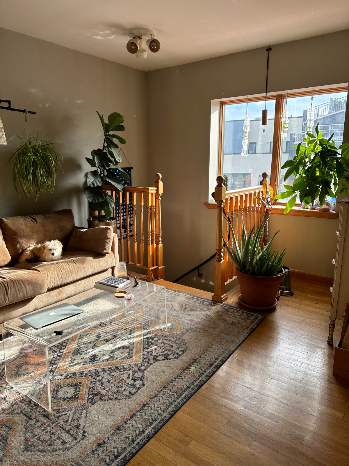 Bright Shared 1 bedroom in 3BR/2BA Balconies in East Williamsburg - Photo 3