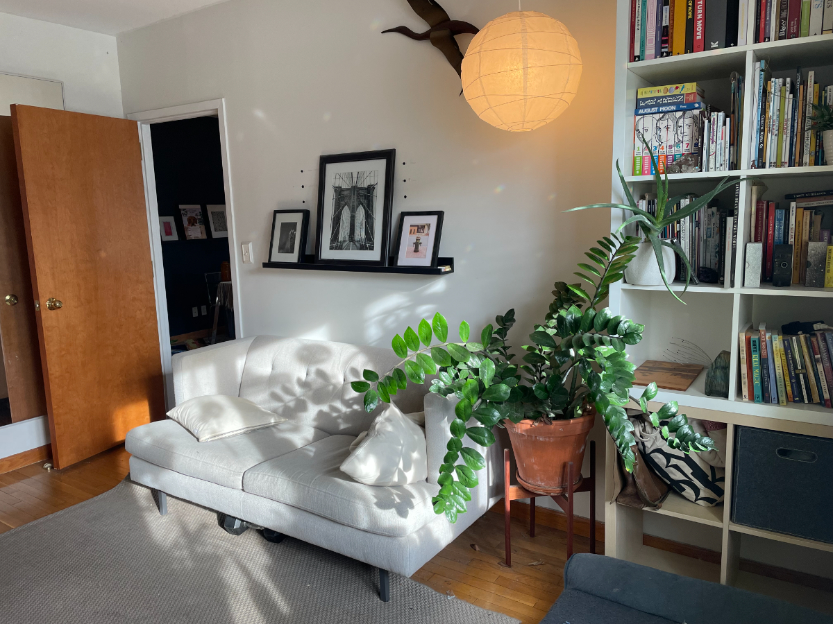 Bright Shared 1 bedroom in 3BR/2BA  Balconies in East Williamsburg - Photo 6