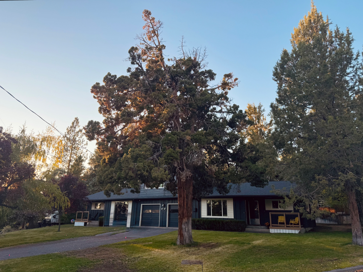 stylish, quiet, and walkable westside haven - Photo 2