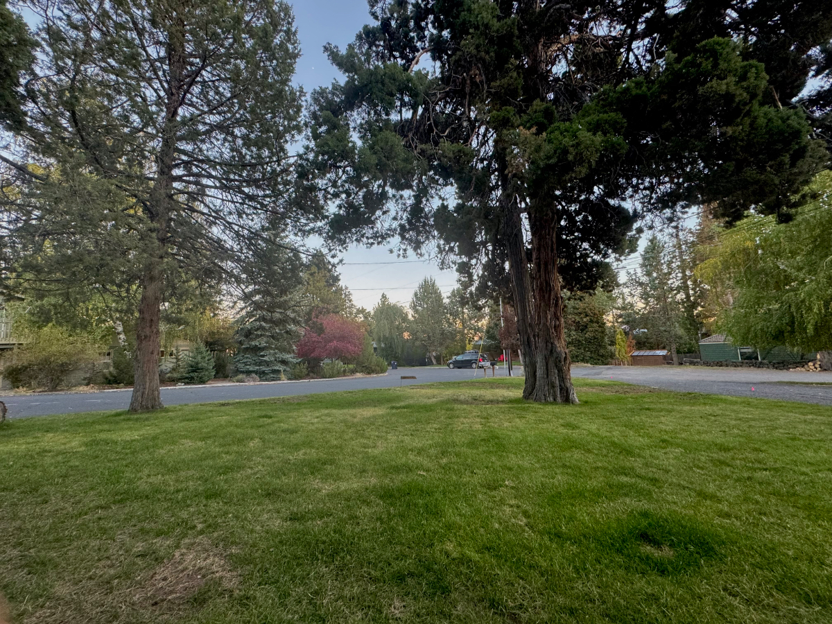 stylish, quiet, and walkable westside haven - Photo 5