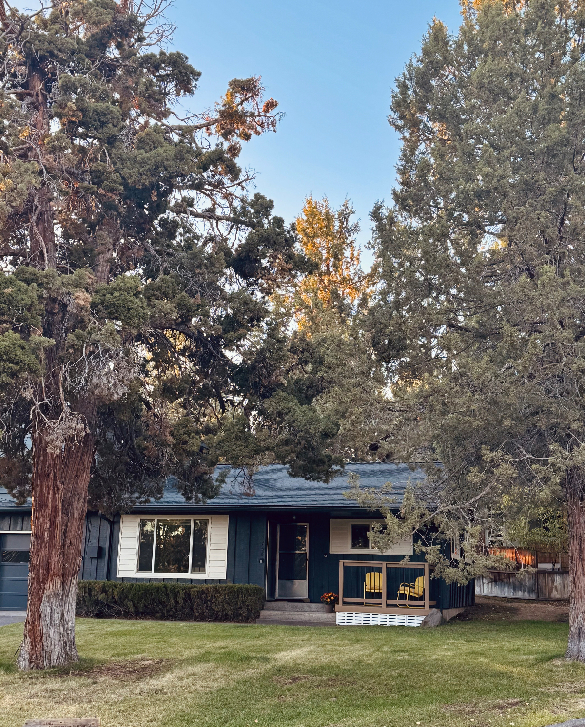 stylish, quiet, and walkable westside haven - Photo 3