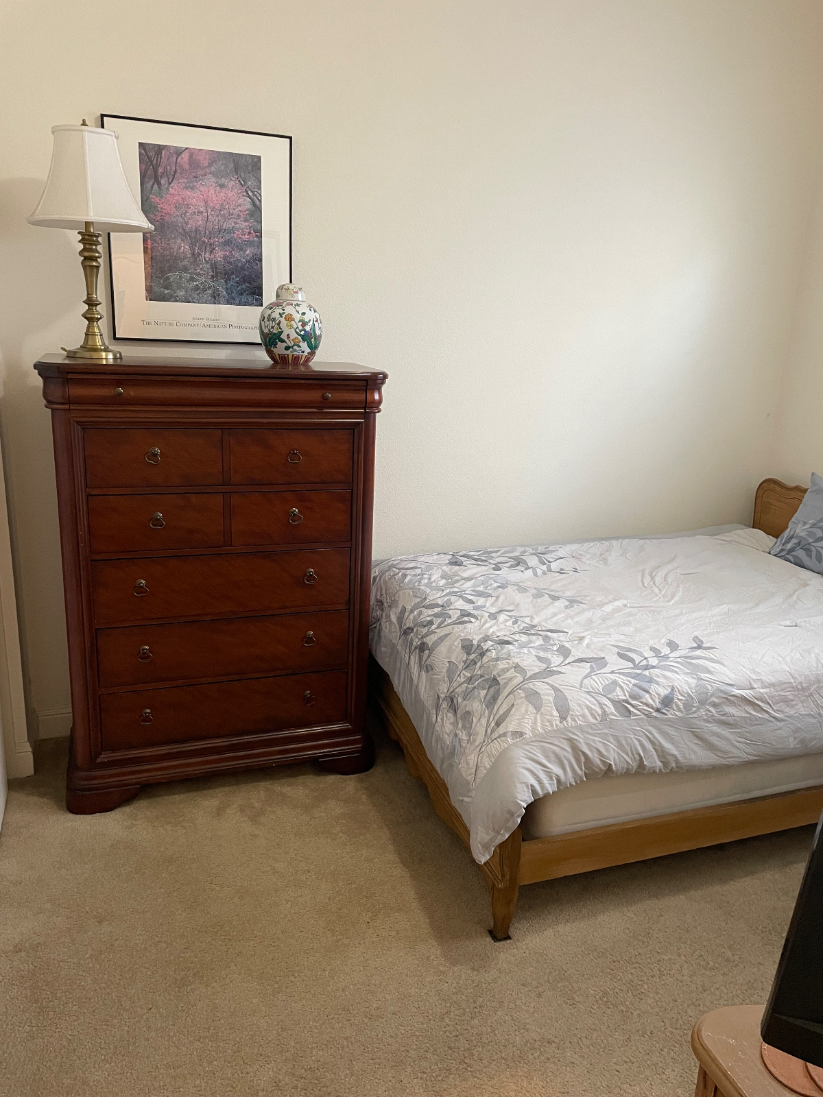 Lovely home environment - Photo 2